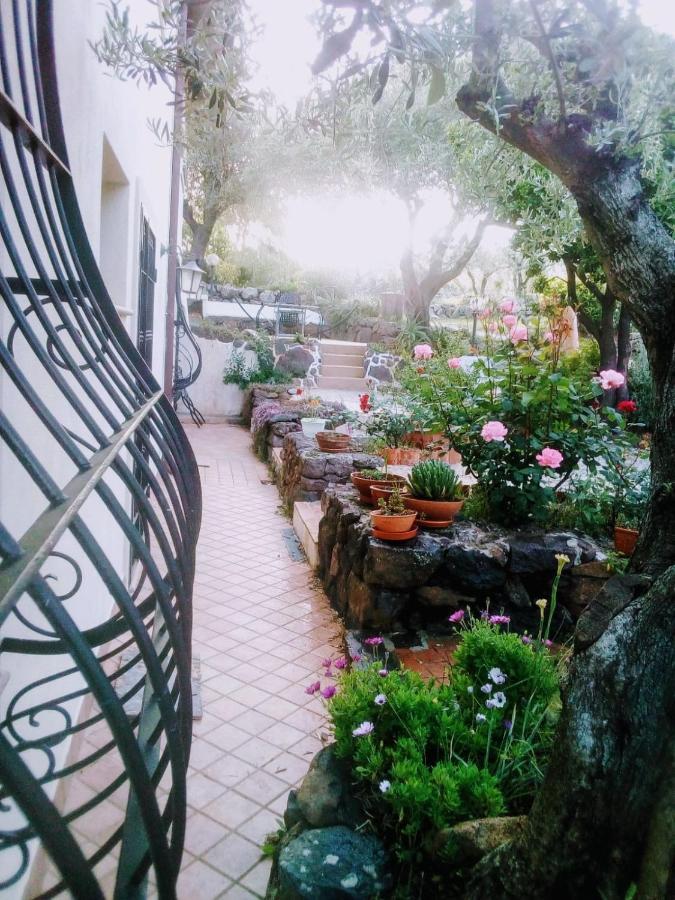 B&B Valverde Доргали Экстерьер фото